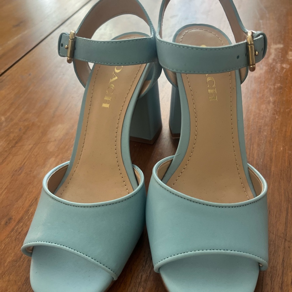 Coach Blue Heels Versatile Mid-Heel Elegance